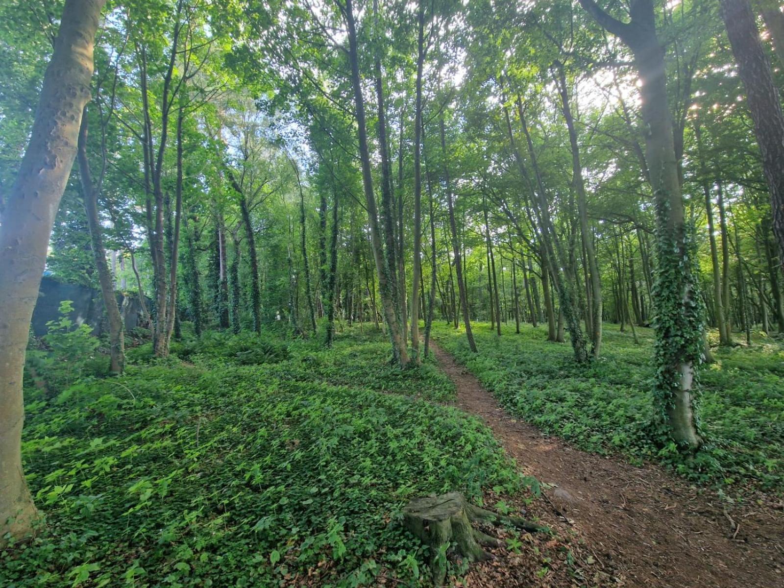 Osrodek Promenada- Faleza Jastrzebia Gora Bagian luar foto