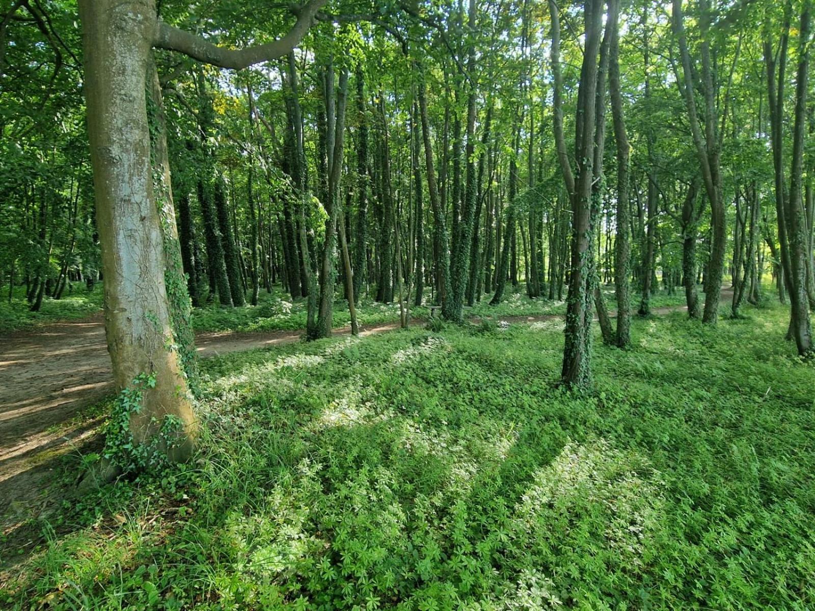 Osrodek Promenada- Faleza Jastrzebia Gora Bagian luar foto